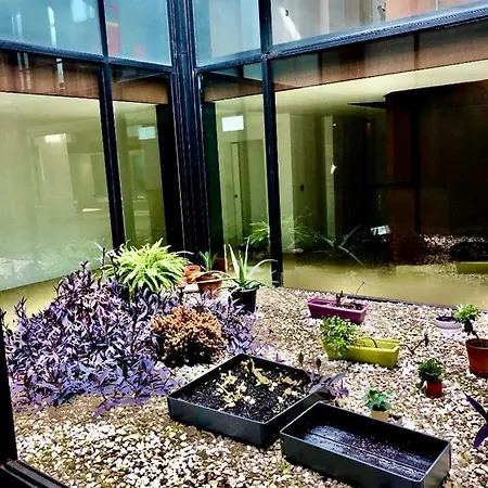 Apartamento Loft Con Piscina - Bodega Loft Xeres شقة جيريز
